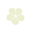 ⚪️