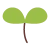 🌱