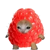🍓