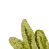 🍃