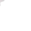 🤍