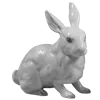 🐇