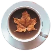 ☕️