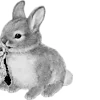 🐇