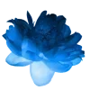 ♾