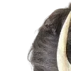 👩