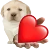 ❤️