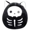 😽