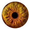 👁️