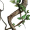 💚