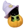 🌙