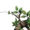 💚