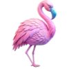 🦩