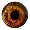 👁️