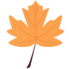 🍁