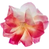 🌸