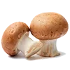 🍄‍🟫