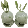 🪴
