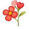 🌺
