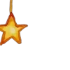 🌟