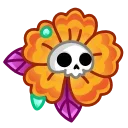 🌺