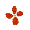 🌼