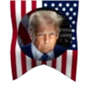 🇺🇸