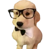😎