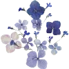🌸