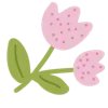 🌸