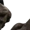 🗿