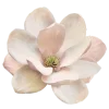🌸