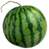 🍉