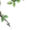 💚