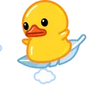 🪶