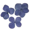💐