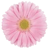 🌸