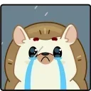 😭