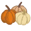 🍁