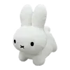 🐰