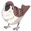 🐦‍⬛️