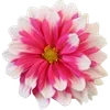 🌺