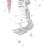 🪉