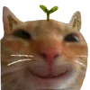 🙂
