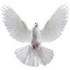 🕊️