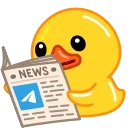 📰