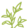 🌿