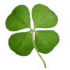 ☘