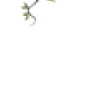 💚