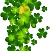 💚